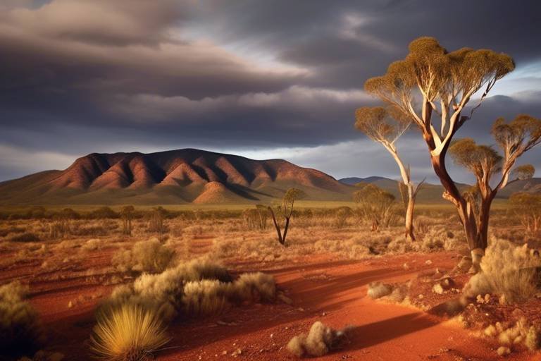 The Untamed Landscapes of Australia’s Flinders Ranges