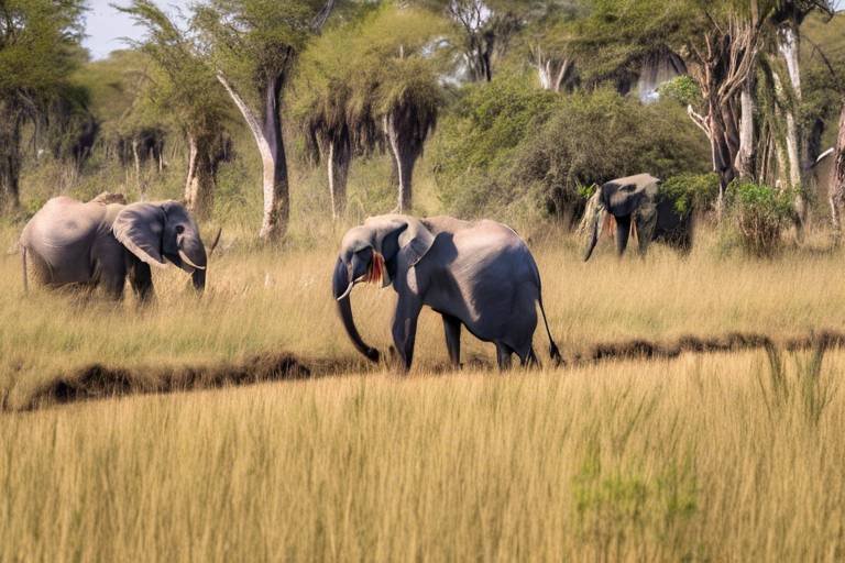 How to Be an Eco-Friendly Tourist in Botswana’s Okavango Delta