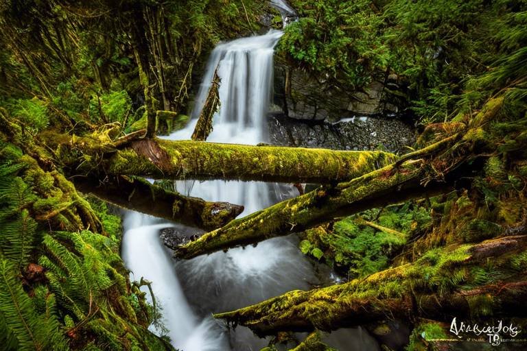 The Ultimate Guide to Exploring the Cascades by Foot