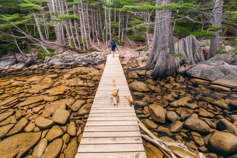 Discovering the Best Beach Hikes in Acadia National Park